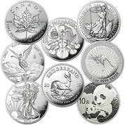 The Certified Uncirculated Silver Bullion Collection I69 1