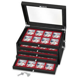stars and stripes collection of american eagle silver EFC c Case