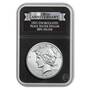 uncirculated peace silver dollar 100th anniversary PCN c slab
