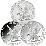 signature set of first year new design american eagles EDN a Main