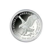 2022 w proof american eagle silver dollar W02 b Coin