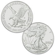 first year new design burnished american eagle EBN b Coin