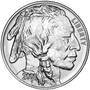 american buffalo gold silver coin set BGS c Coins