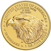first eagle head burnished american eagle gold coin GNB b Coin