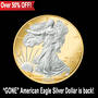 platinum gold highlighted american eagle discount PG2 b Coin