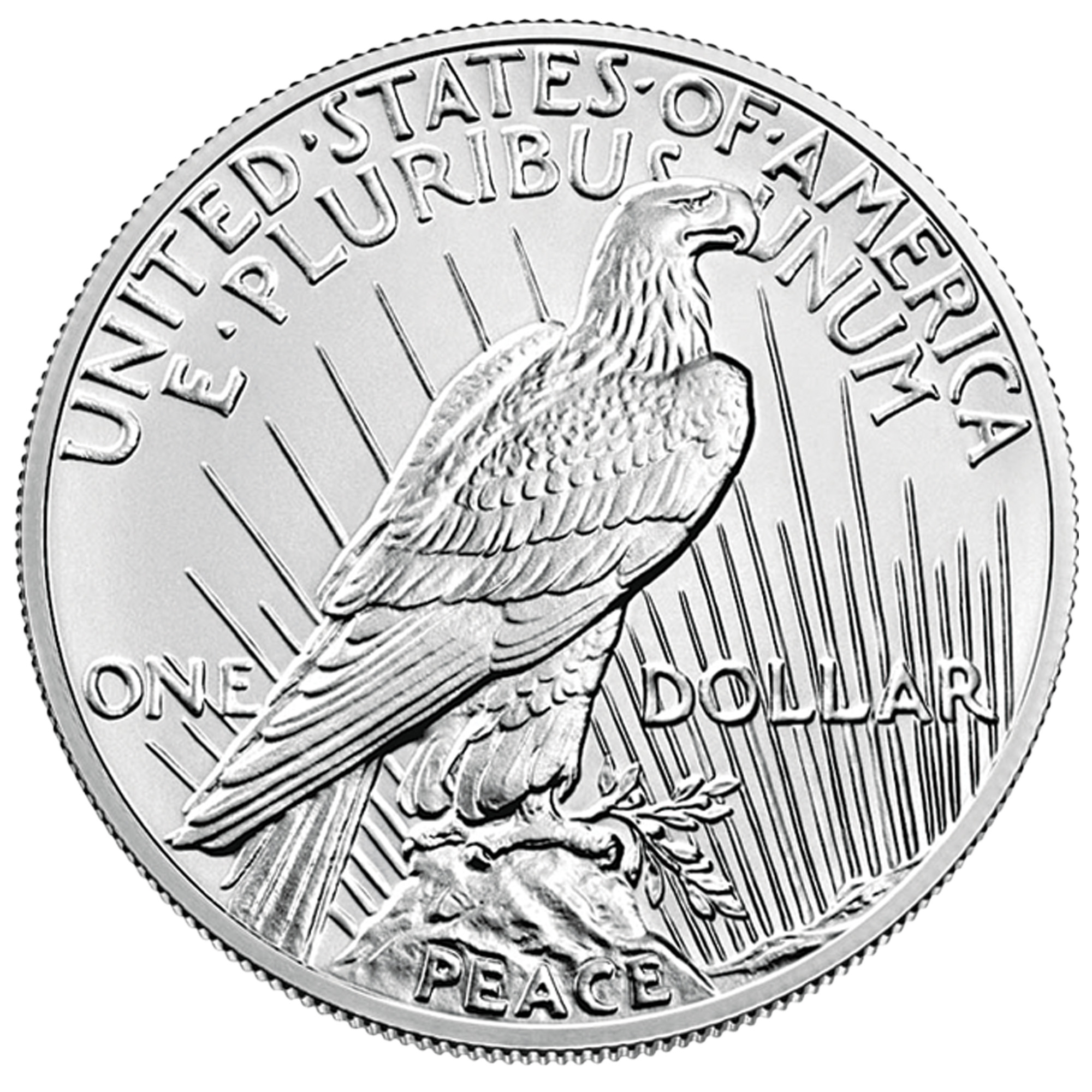 100th anniversary peace silver dollar ms70 MP2 a Main